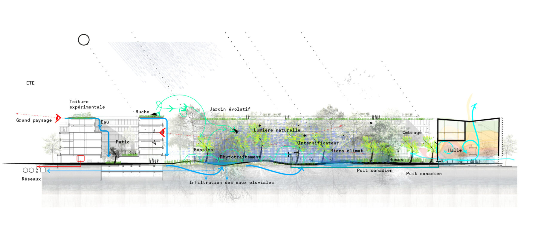 Campus Agro Paris Tech Gestion des eaux pluviales