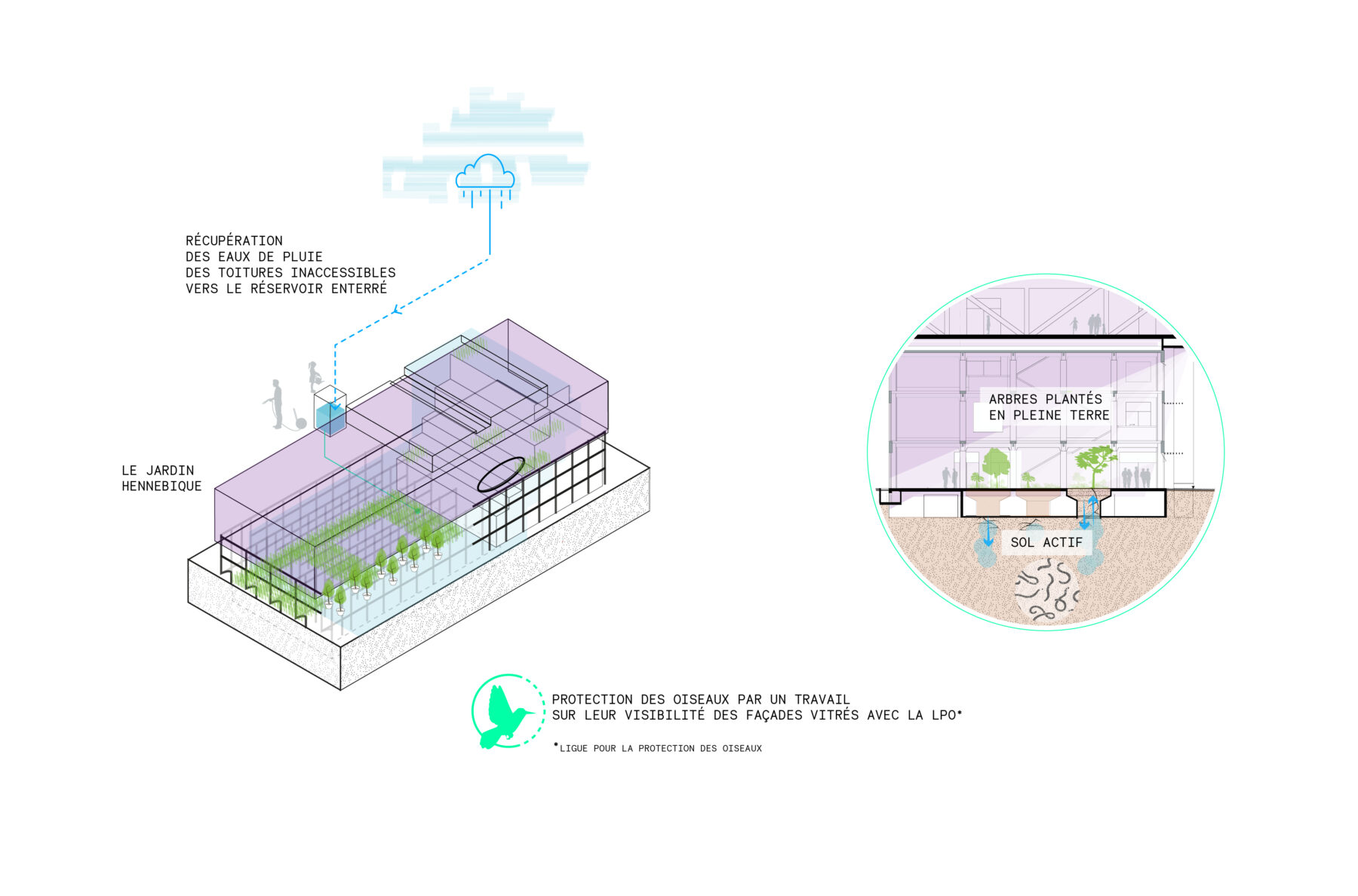 Restauration des ecosystemes et cycle de leau