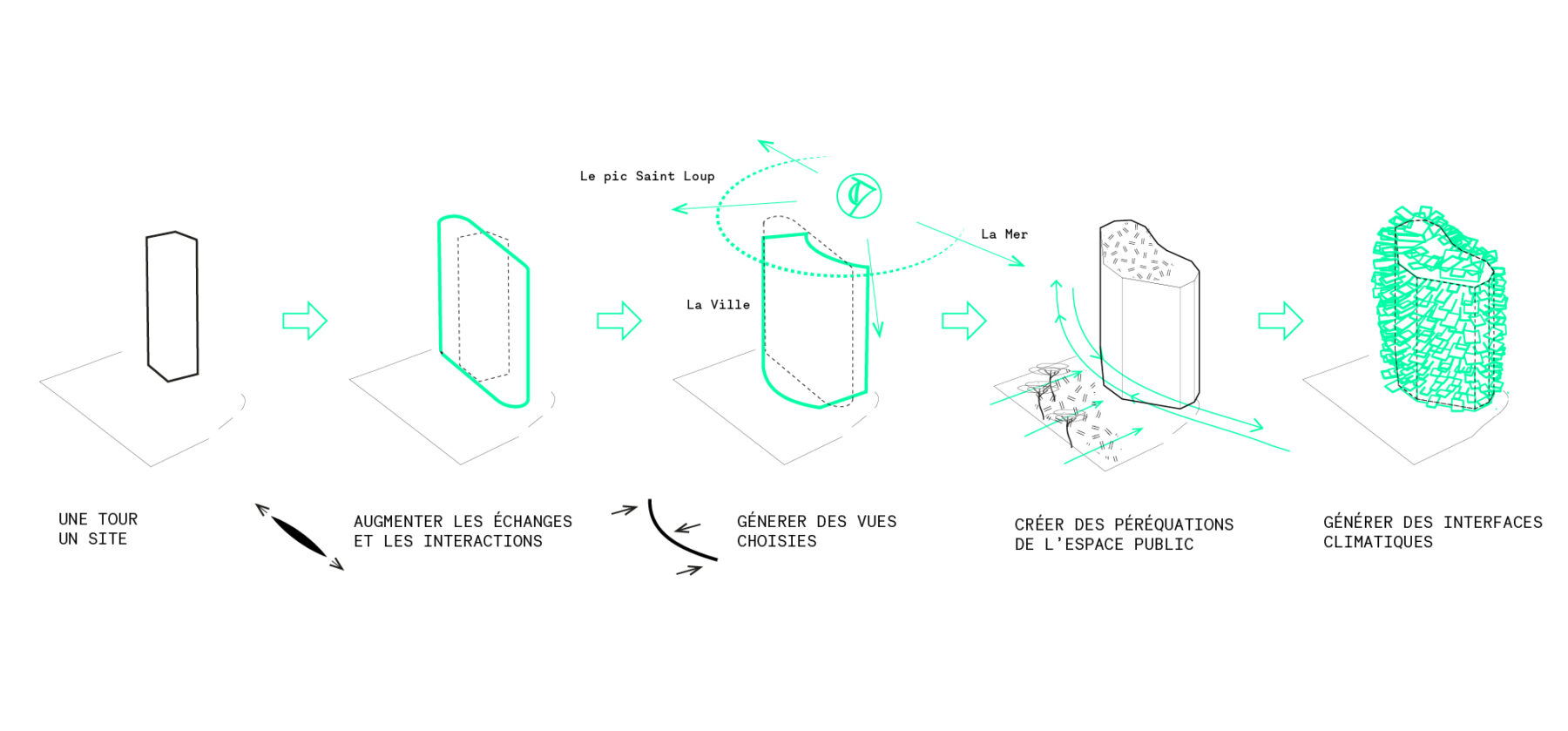 Larbre blanc Principes morphogénétiques du projet