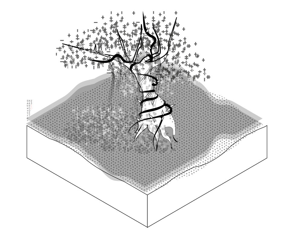 Axonometric Projections Lianas