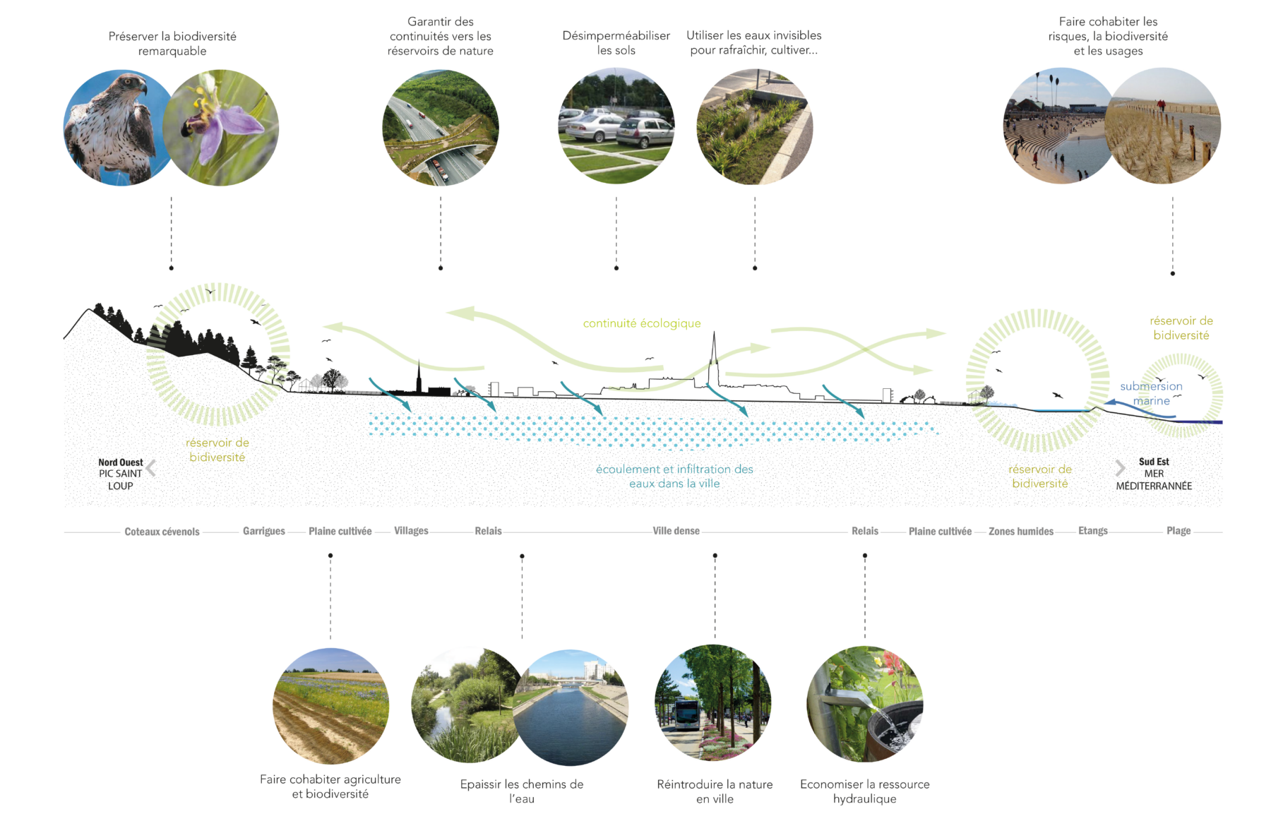 230918 matrice cycle de leau et territoire de biodiversité