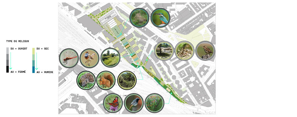 Les Messageries V3 Landscape Quality of Urban Spaces